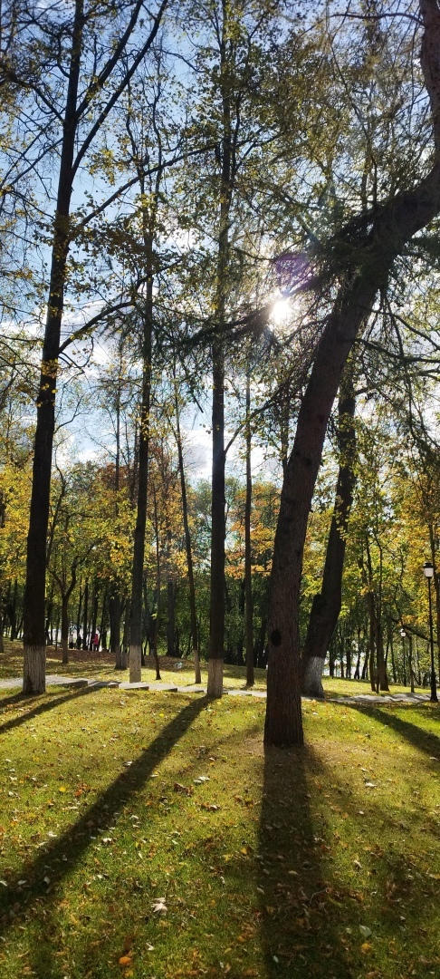 Поездка на выходные в парк культуры и отдыха в г. Раменское! И все-таки делается и хорошее для людей, реконструкция и обновление отличного парка!