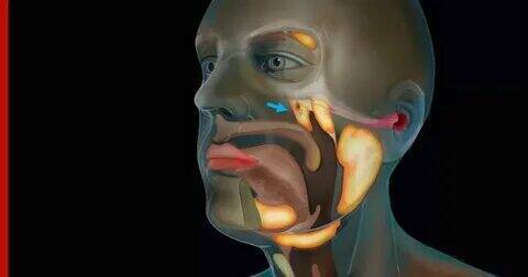 Новый орган найден у человека.