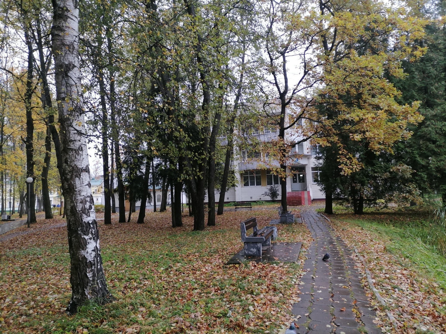 Мой отдых в пансионате Карачарово. Плюсы и минусы