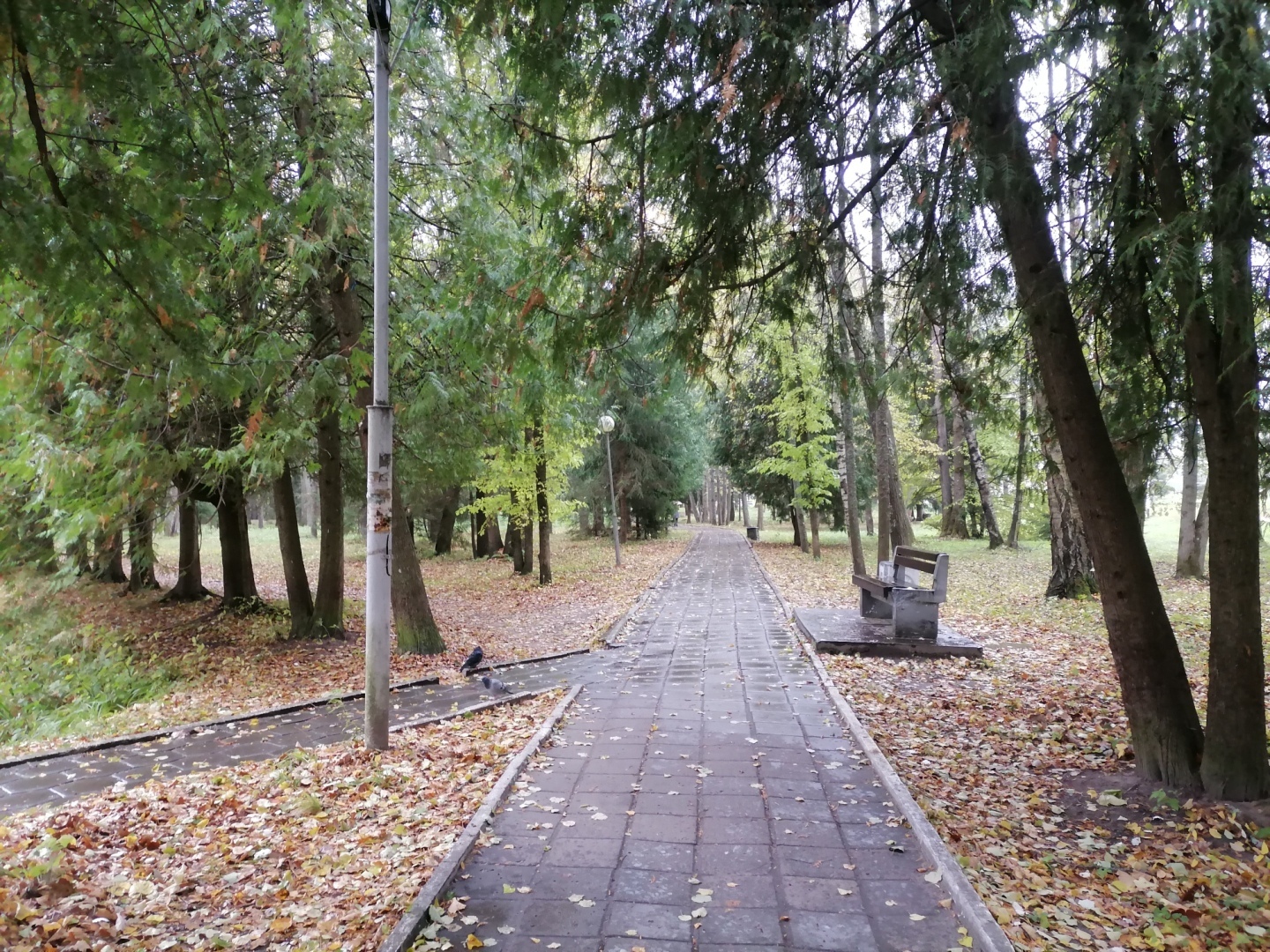 Мой отдых в пансионате Карачарово. Плюсы и минусы