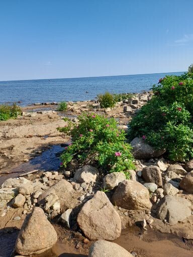 Пропажа близкого человека: сколько времени ждать перед обращением в правоохранительные органы