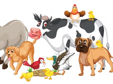 Домашние животные: Наши Верные Друзья и Источники Счастья