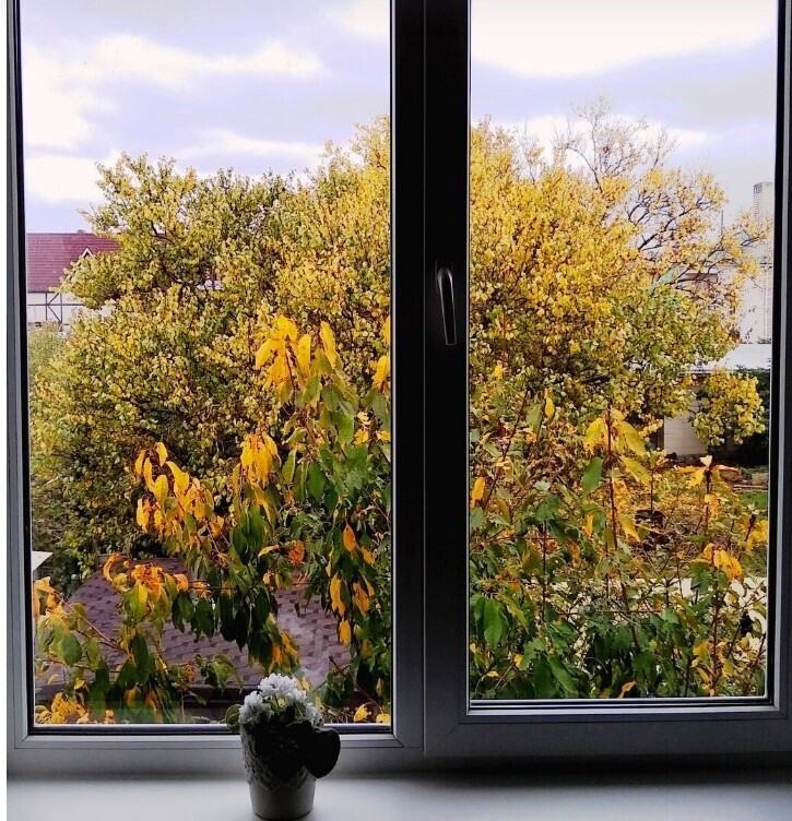 Я покажу вам осени начало. Анапа, за городом 22 октября, много фото