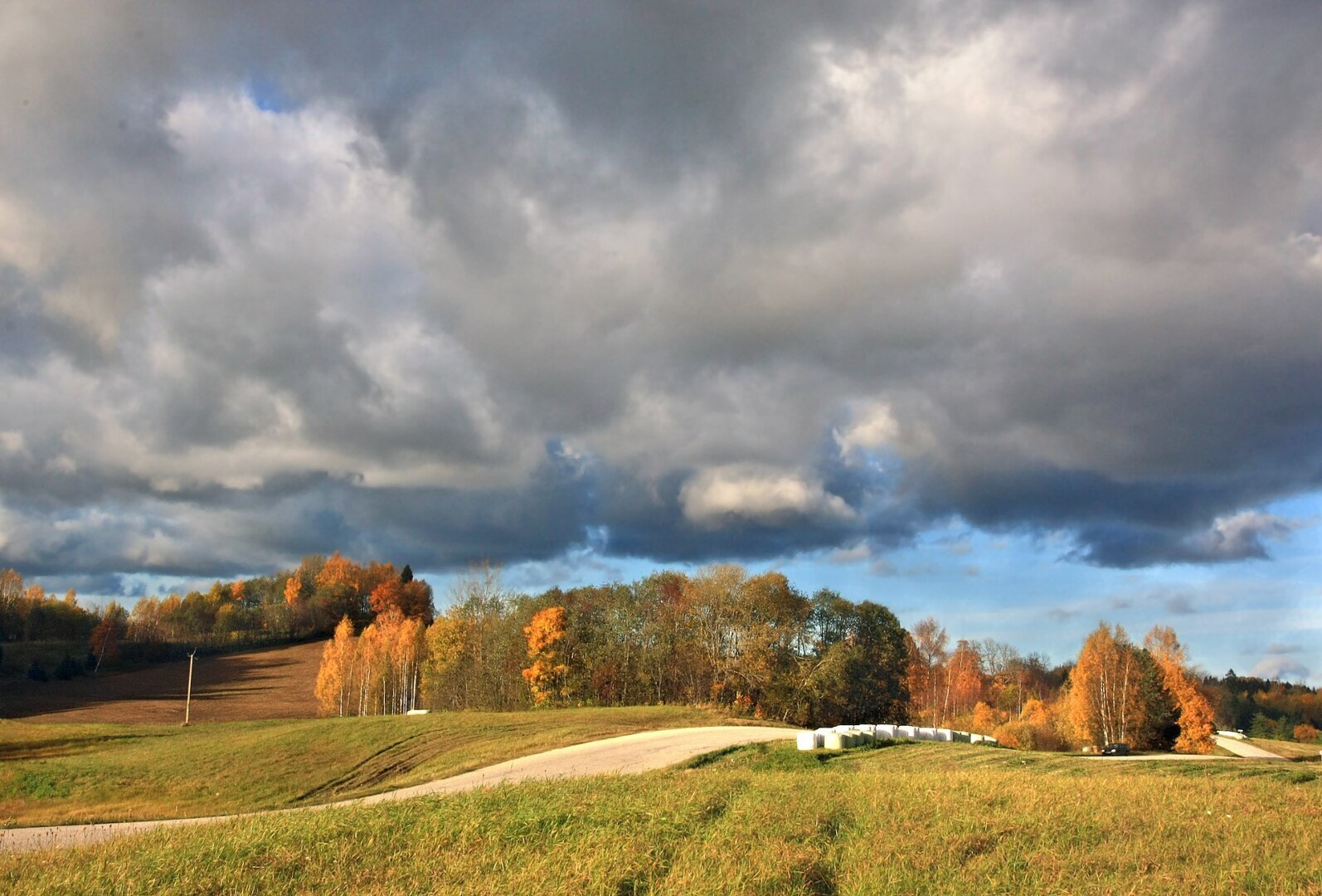 Вы любите осень или нет? Конечно есть красивые моменты осени.... Но в целом, все не то с Вашей осенью....
