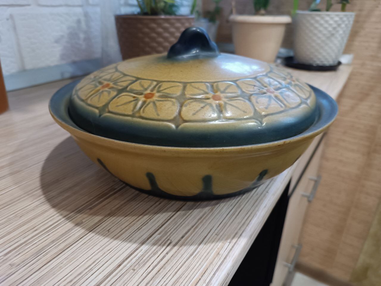 Что лучше мультиварка или скороварка?