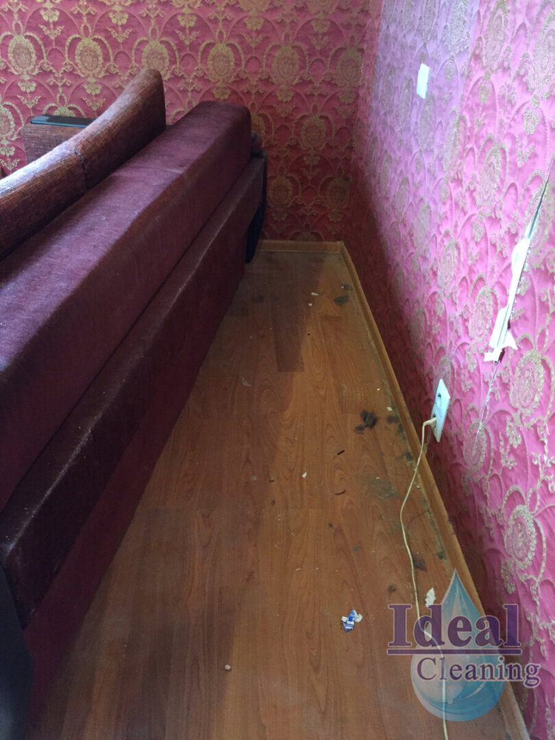 «Случайно» забыли, что такое чистота и уборка. Мы убирали квартиру, которая много лет не видела ведро и моющую тряпку – оцените результат