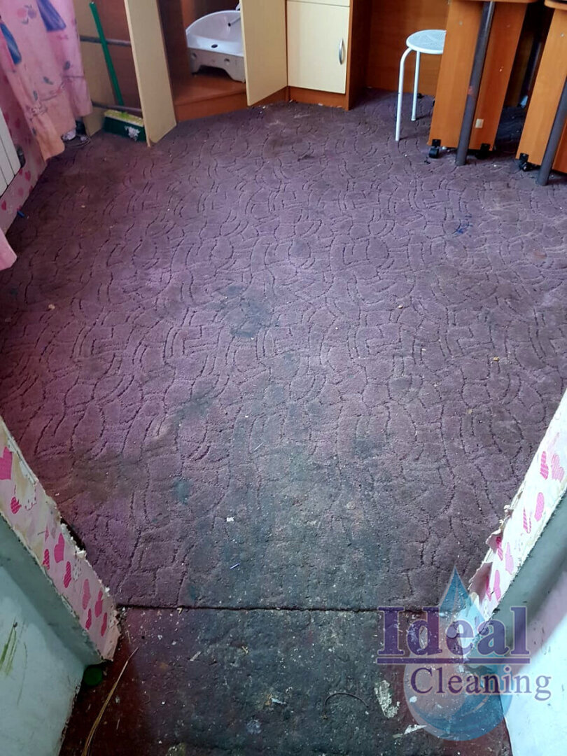 «Случайно» забыли, что такое чистота и уборка. Мы убирали квартиру, которая много лет не видела ведро и моющую тряпку – оцените результат