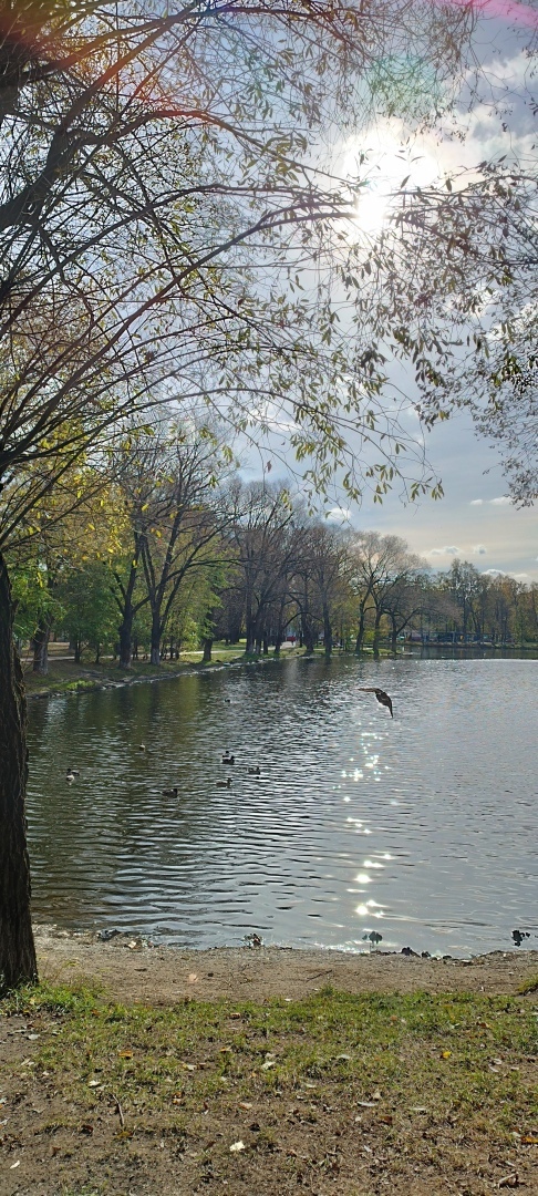 Осень - время перемен и вдохновения. Как бороться с осенней хандрой и почему русские поэты так любили осень. Давайте поразмышляем вместе.