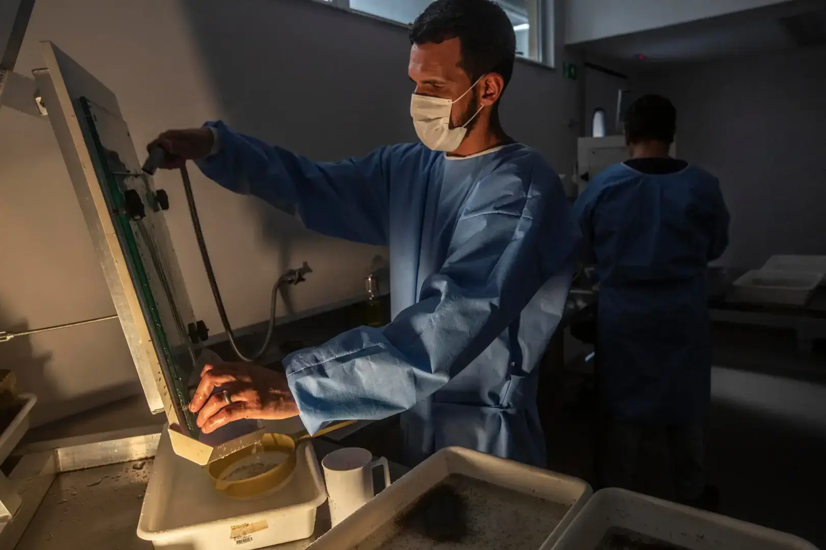 Что нужно знать о лихорадке денге по мере распространения случаев заболевания по миру