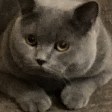 Андрей, г. Санкт-Петербург