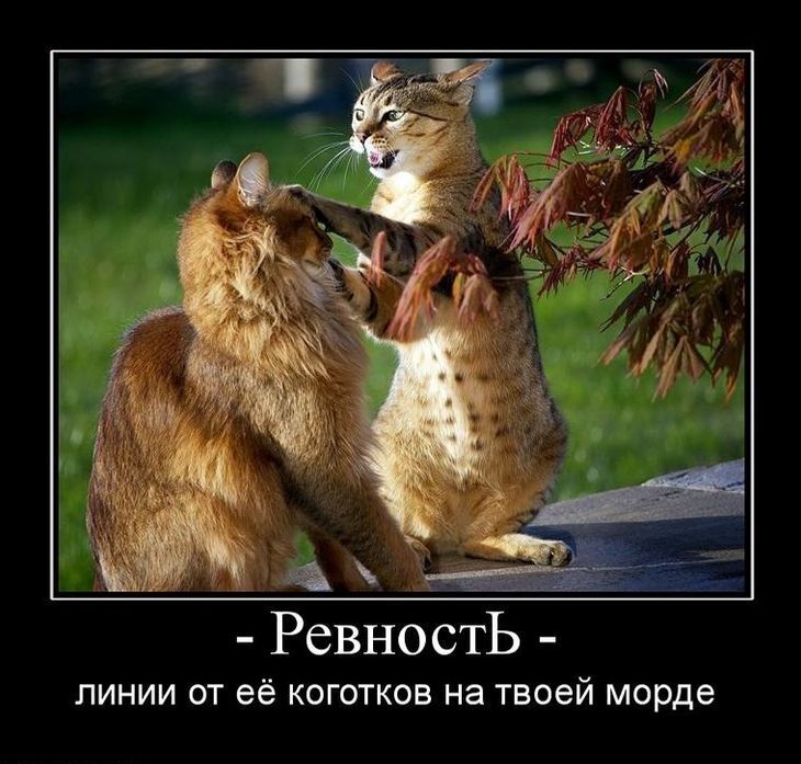 Абьюзивные отношения: история о том, как дикая ревность привела к преступлению, но жертва смогла спастись, устроив ДТП