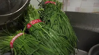 Корейский буфет с бесконечным пополнением запасов, где вы можете насладиться сытной едой за 7500 вон! Чем сложнее задача, тем щедрее бесконечное попол