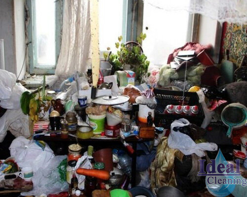 😱😱😱 "Тихий ужас" - Синдром "плюшкиных". Как выглядят самые грязные и запущенные квартиры в России, которые не будут убирать клининговые компании ❎