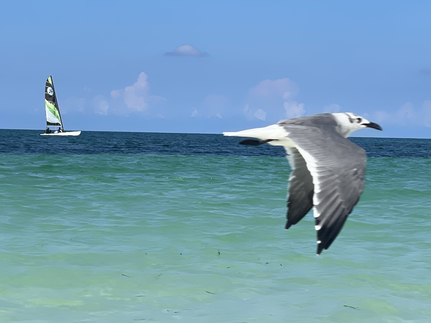 Куба Либре! Кайо Коко! Мой отпуск на Острове Свободы: стоит ли лететь 14 часов ради природы? Фотоотчет