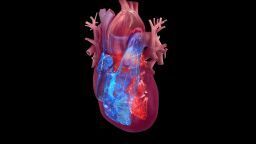 По прогнозам в США увеличится смертность от сердечных заболеваний связанных с высокой температурой, особенно среди пожилых людей и чернокожих взрослых