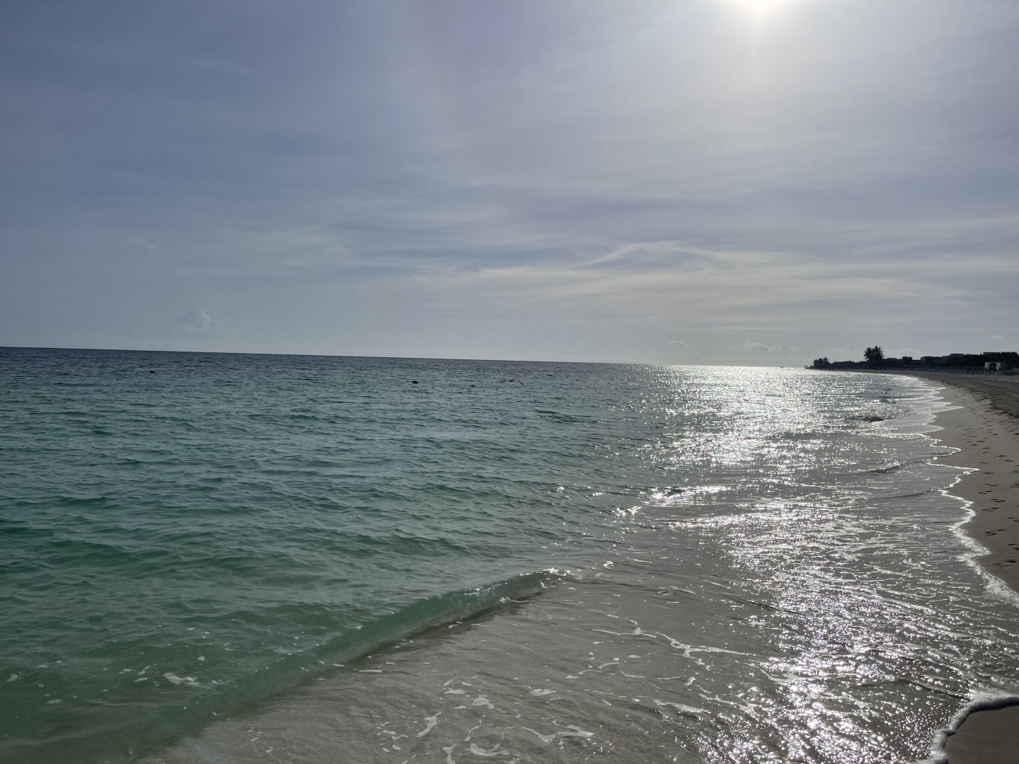 Куба Либре! Кайо Коко! Мой отпуск на Острове Свободы: стоит ли лететь 14 часов ради природы? Фотоотчет