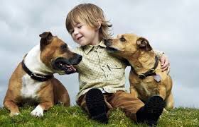 5 самых спокойных пород собак: отлично ладят с детьми