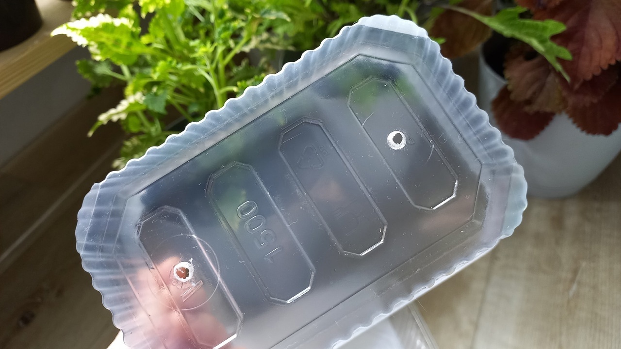 Укореняем замиокулькас листом.