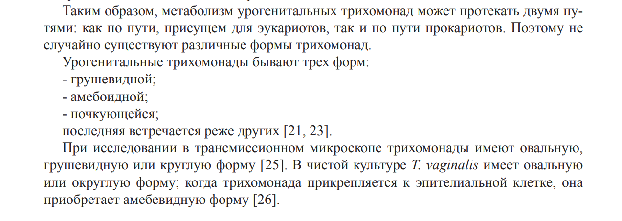 Онкологическое отступление № 9. Чем мы руководствовались, вырабатывая нашу методику борьбы с практически неизлечимой разновидностью рака