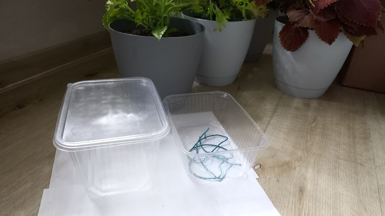 Укореняем замиокулькас листом.