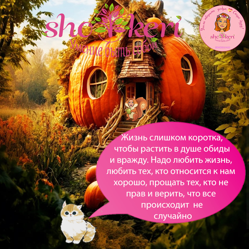 Как люди себя вытягивают с помощью хобби