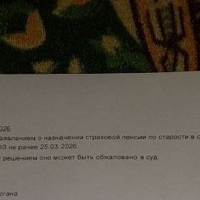 1698824155421.jpg