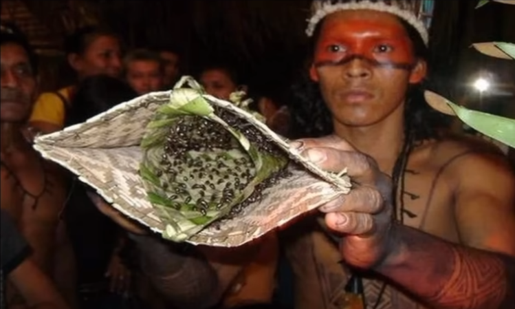 Странные, скорее страшные мужские ритуалы и женские. Стать настоящим мужчиной и как настоящей женщиной.