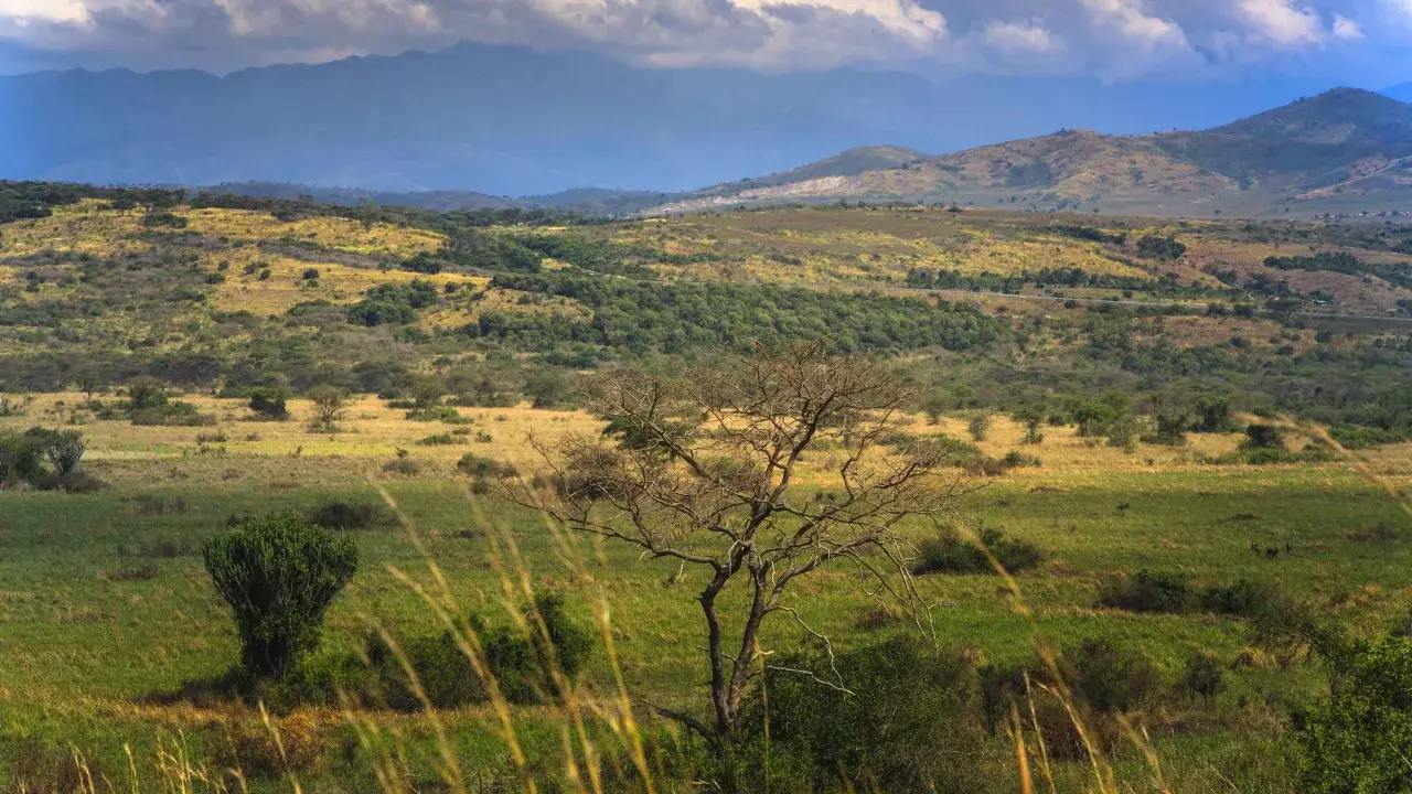 Ведется розыск молодоженов, убитых во время медового месяца в Уганде
