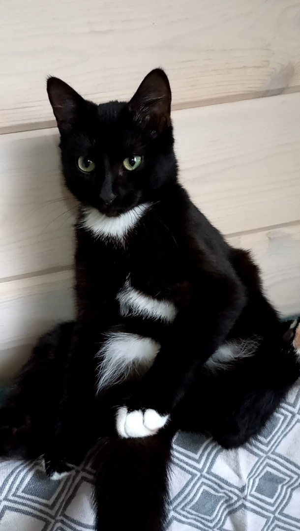 Бедность - проблема современной России.