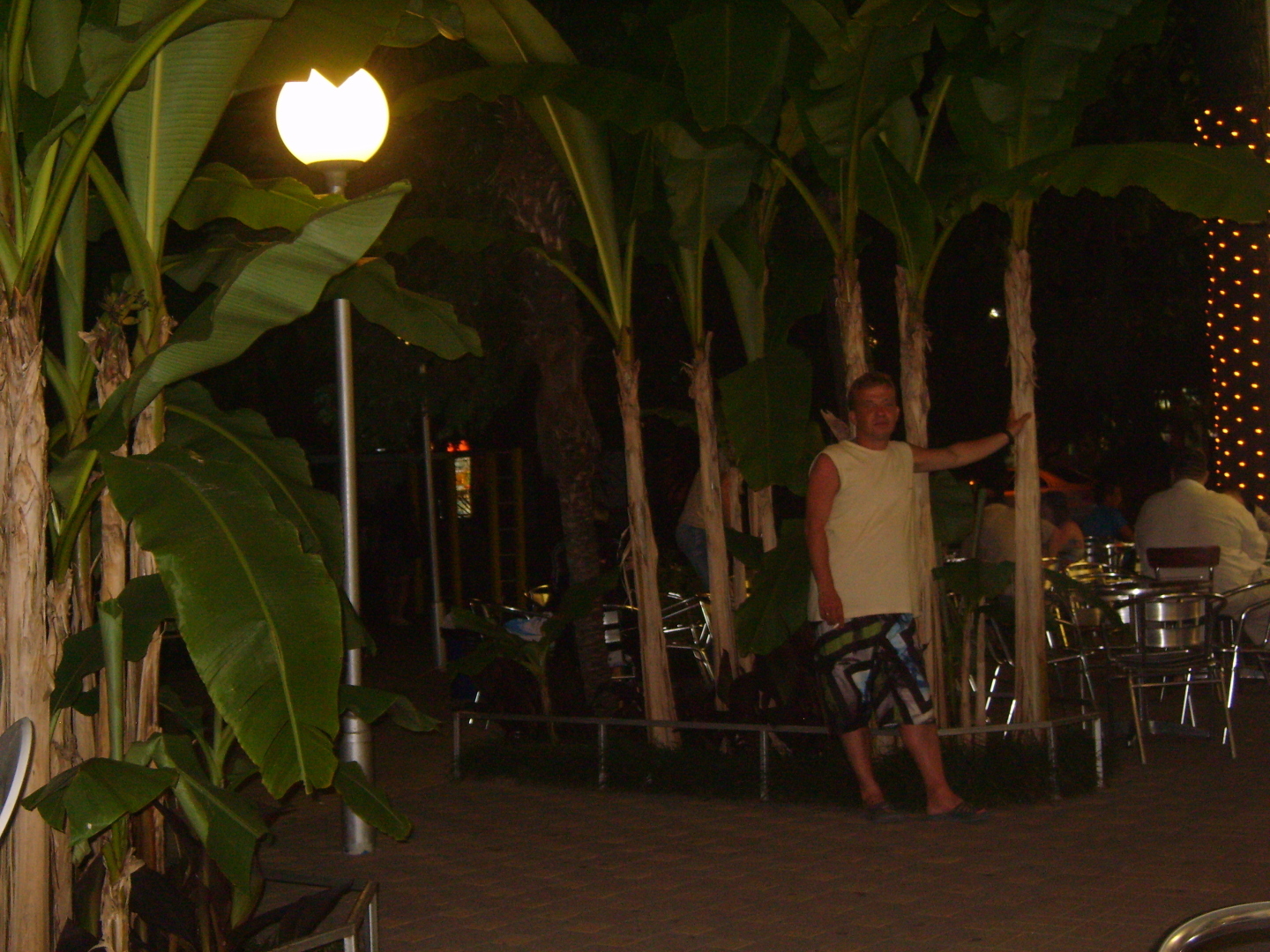 Кафе «Пингвин» в поселке Лазаревское. Уютная обстановка, прекрасные чебуреки, вкуснейшее мороженое. И капля дегтя в бочке меда!