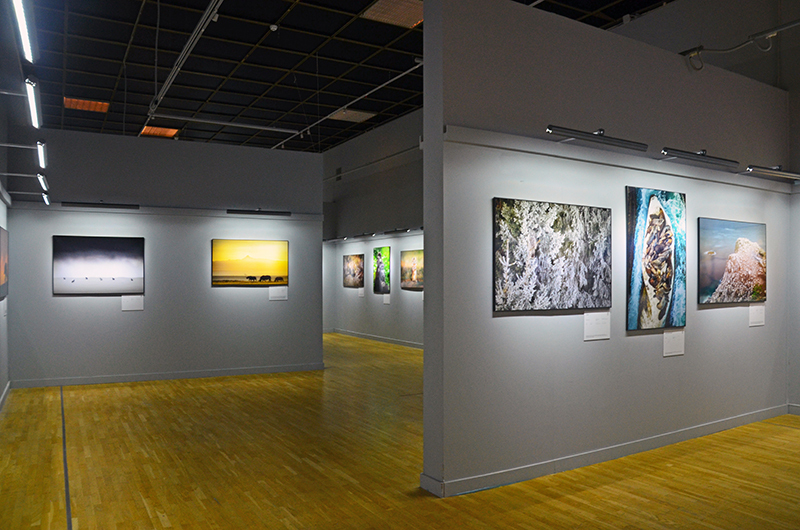 Золотая черепаха