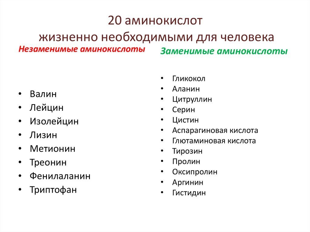 Списки организмов. Список незаменимых аминокислот в организме человека. 20 Аминокислот заменимые и незаменимые. Незаменимые аминокислоты список 20. Заменимые аминокислоты список.