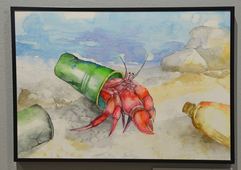 Золотая черепаха