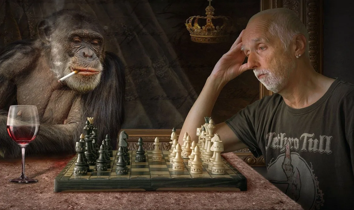 Обезьяны. Как они играют в людей и их необычные шутки