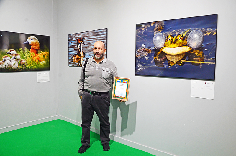 Золотая черепаха