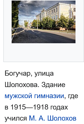 Рассказ "Город Богучар"