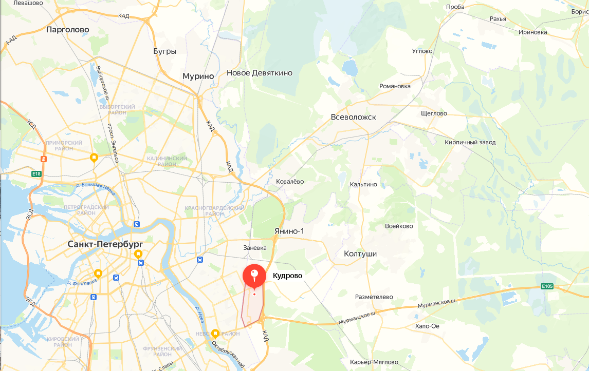 «Человейники» в России. Как и для чего их строят