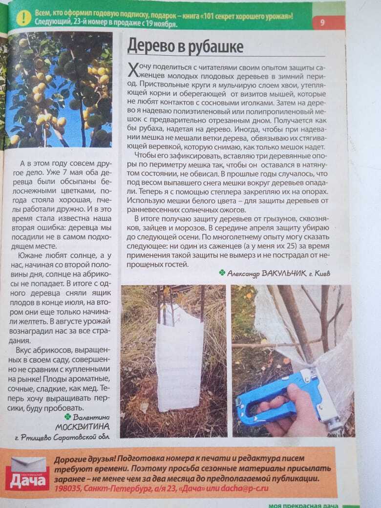 Мой первый неудачный опыт публикации в журнале "Моя прекрасная дача" или почему я осталась без авторского гонорара. Не повторяйте моих ошибок.