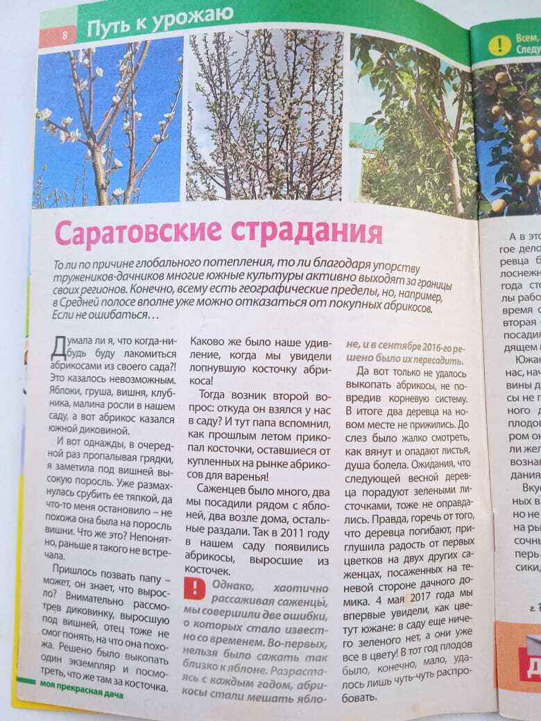 Мой первый неудачный опыт публикации в журнале "Моя прекрасная дача" или почему я осталась без авторского гонорара. Не повторяйте моих ошибок.