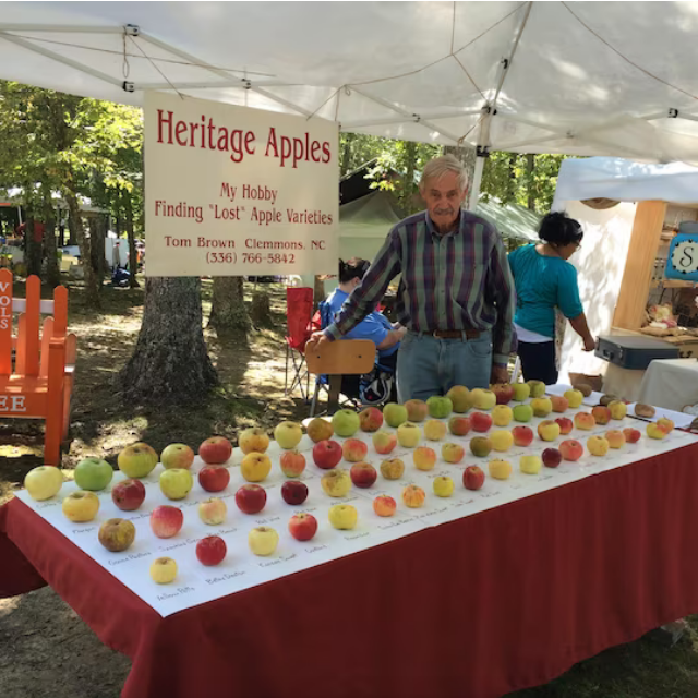 16-летние поиски редкого «потерянного» сорта яблок были только началом