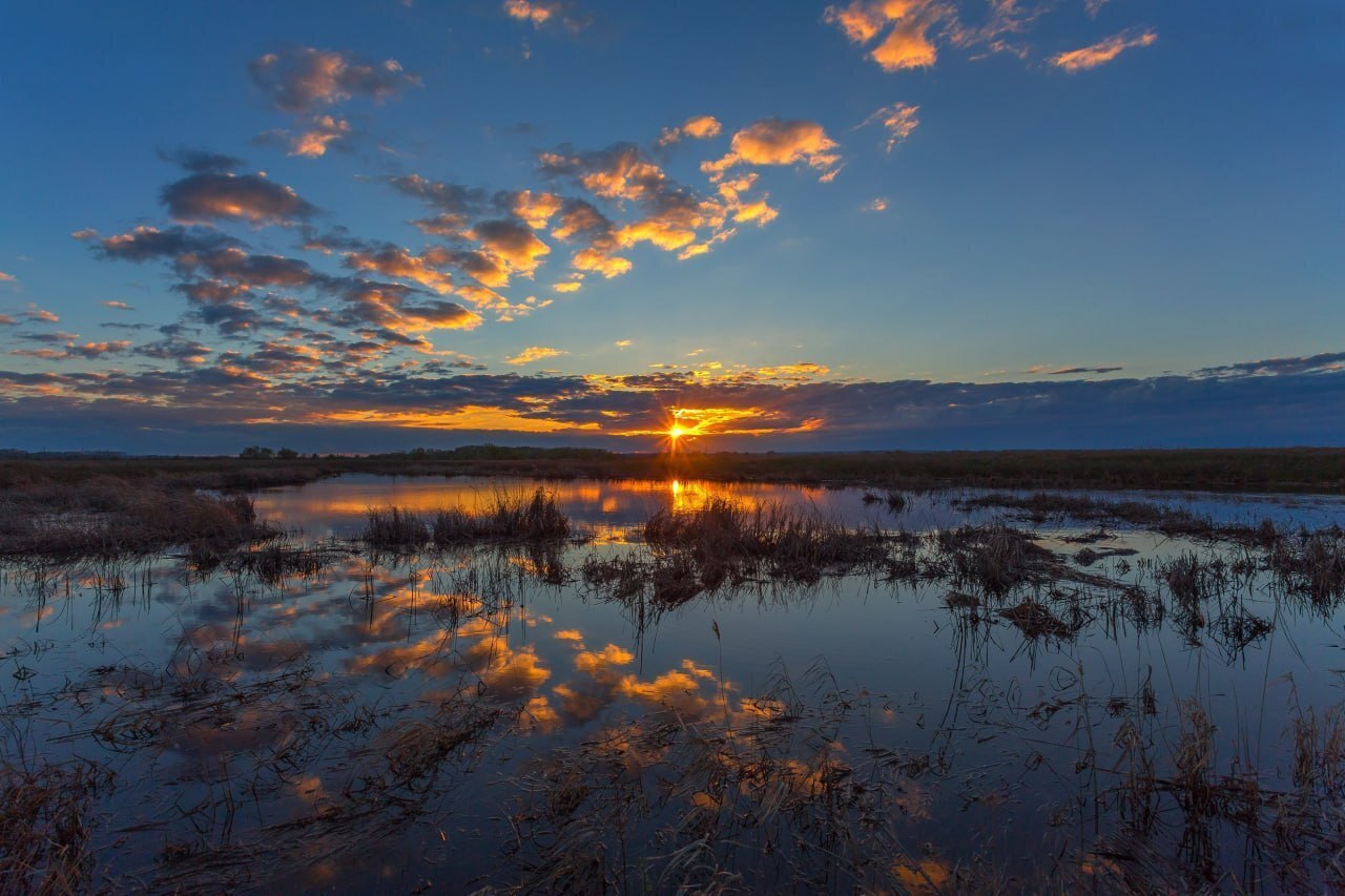 Васюганские болота: Величественное и загадочное чудо природы