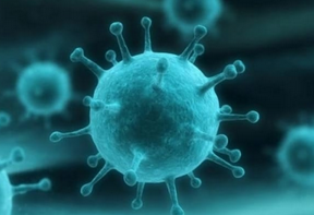 Гонконгский грипп: как защититься и сколько россиян заболели?