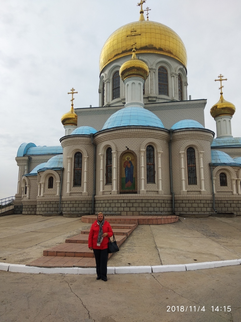 Сказочные деревья у реки Волга