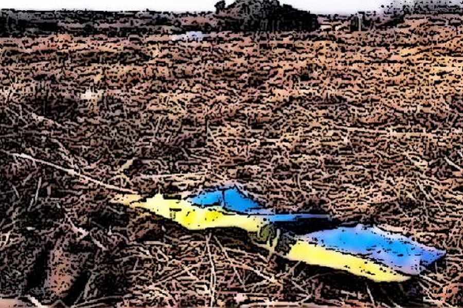 Павел Эсман, EsmanNEVS22 С.Петербург, «Павника в офисе Зеленского, как в мбункере адольфа во время штурма рейхстага»