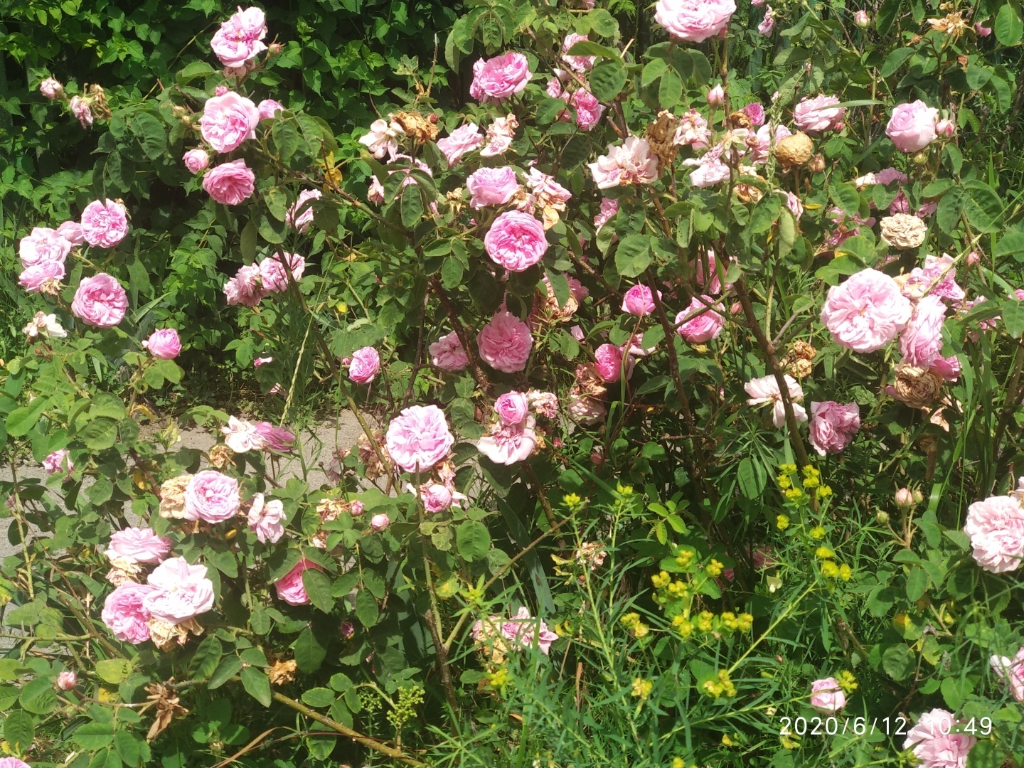 Станица Старочеркасская - одно из красивейших исторических мест Ростовской области