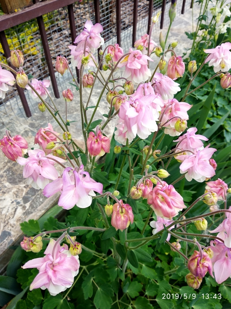 Станица Старочеркасская - одно из красивейших исторических мест Ростовской области