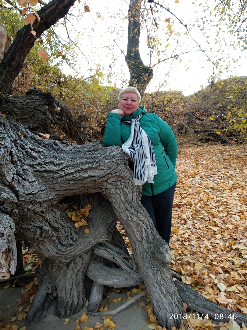 Сказочные деревья у реки Волга