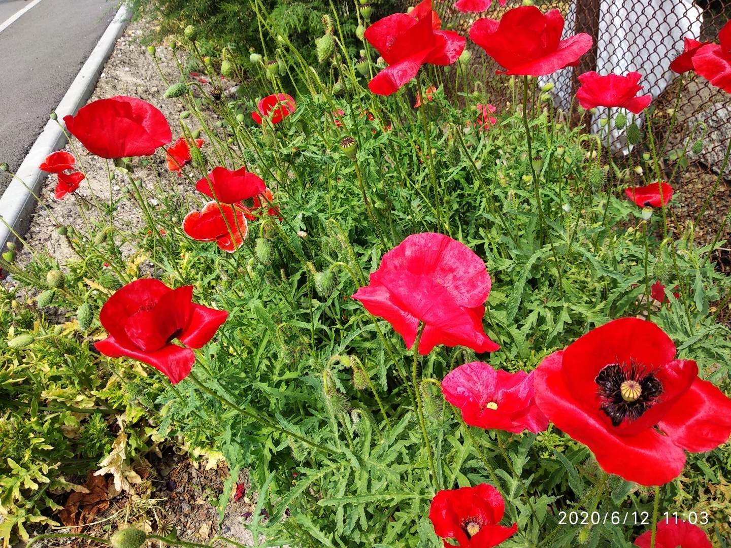 Станица Старочеркасская - одно из красивейших исторических мест Ростовской области