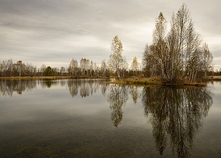 Рассказ "Город Нижнеудинск"