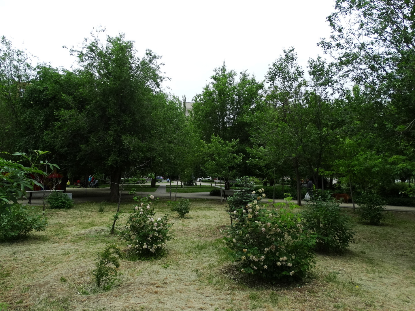 Парк Лесогород на Тулака. Волгоград